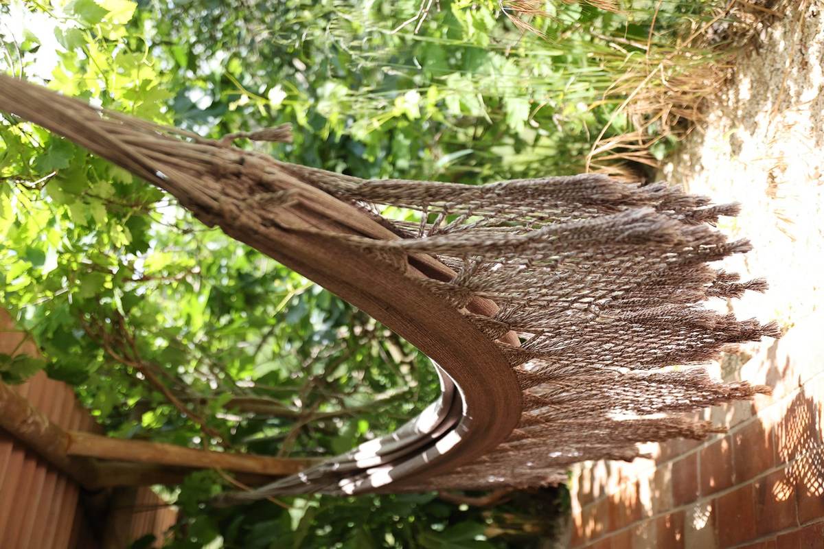 A hammock under the vines